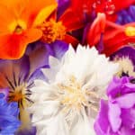 Blossoms The Chef's Garden. Pic: Mark Manne