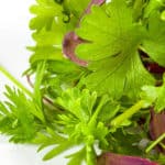 Herbs The Chef's Garden. Pic: Mark Manne