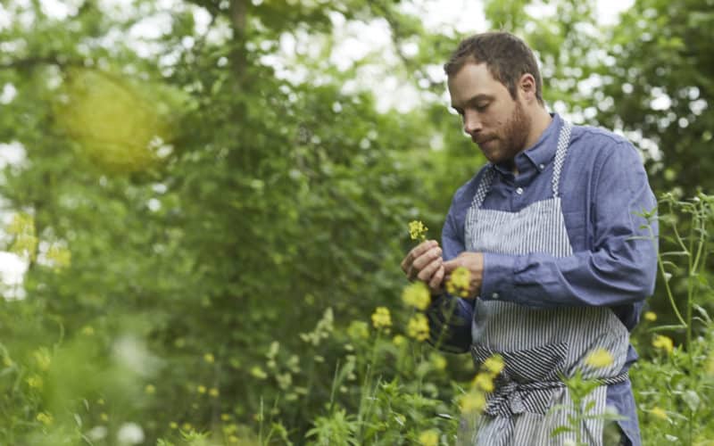 Chef Alan Bergo