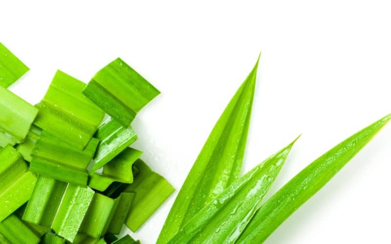 Pandan